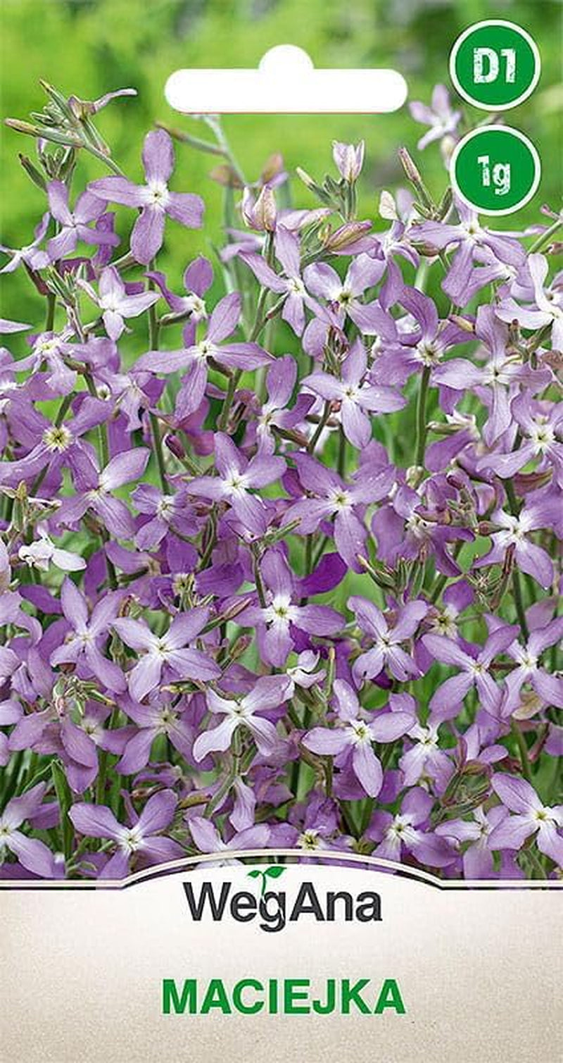 Cosmos Sensation Mix 1g nasion, Cosmos Mix Kwiaty letnie, Rośliny ogrodowe Rośliny balkonowe, Nasiona kwiatów