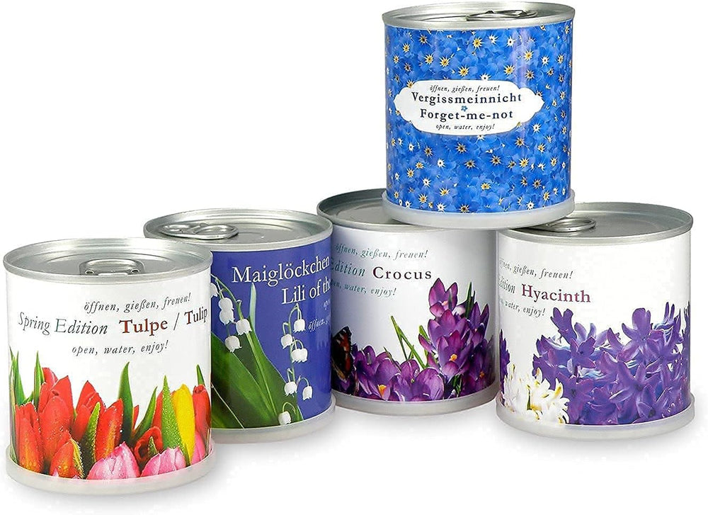 Nie patrz na mnie w pudełku z kwiatami | Zestaw wzrostowy jako specjalny prezent | Otwórz, woda, ciesz się | Na pożegnanie lub w podziękowaniu