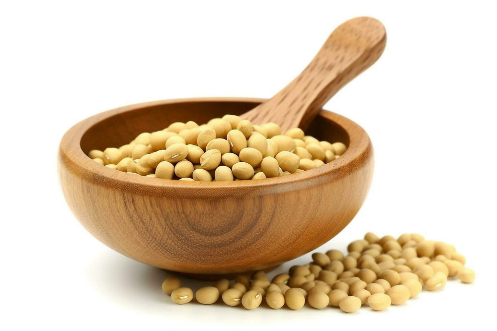 Specjalna soja żółta do tofu 5 kg bio