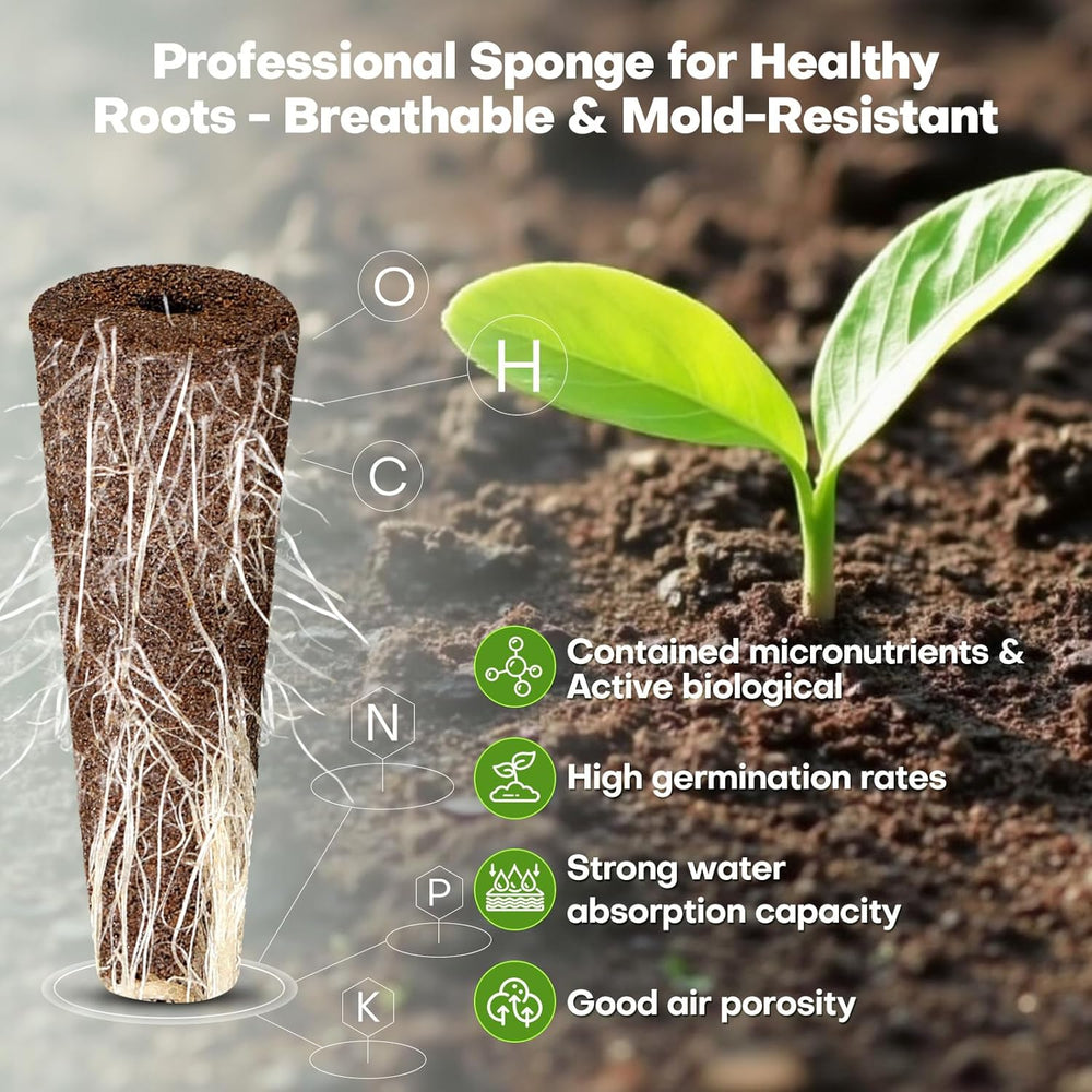 40-częściowy zestaw kapsułek z nasionami do hydroponicznego systemu uprawy w pomieszczeniach - regularne