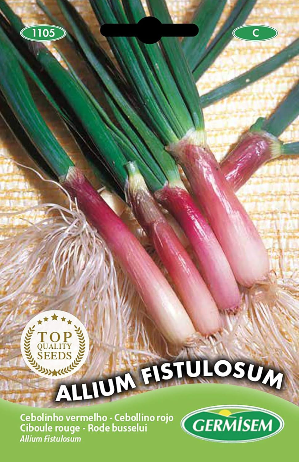 Schnittlauch ALLIUM FISTULOSUM, Mehrfarbig, EC1105
