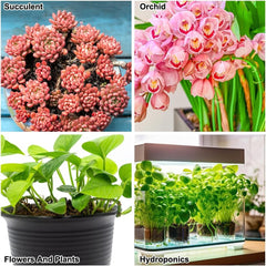 Gruboziarnisty granulat gliny, granulat gliny ekspandowanej, granulat roślinny, glina ekspandowana 1L podłoże do sadzenia hydroponicznego, granulat gliny 5-8 mm