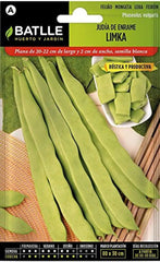 Judia LIMKA