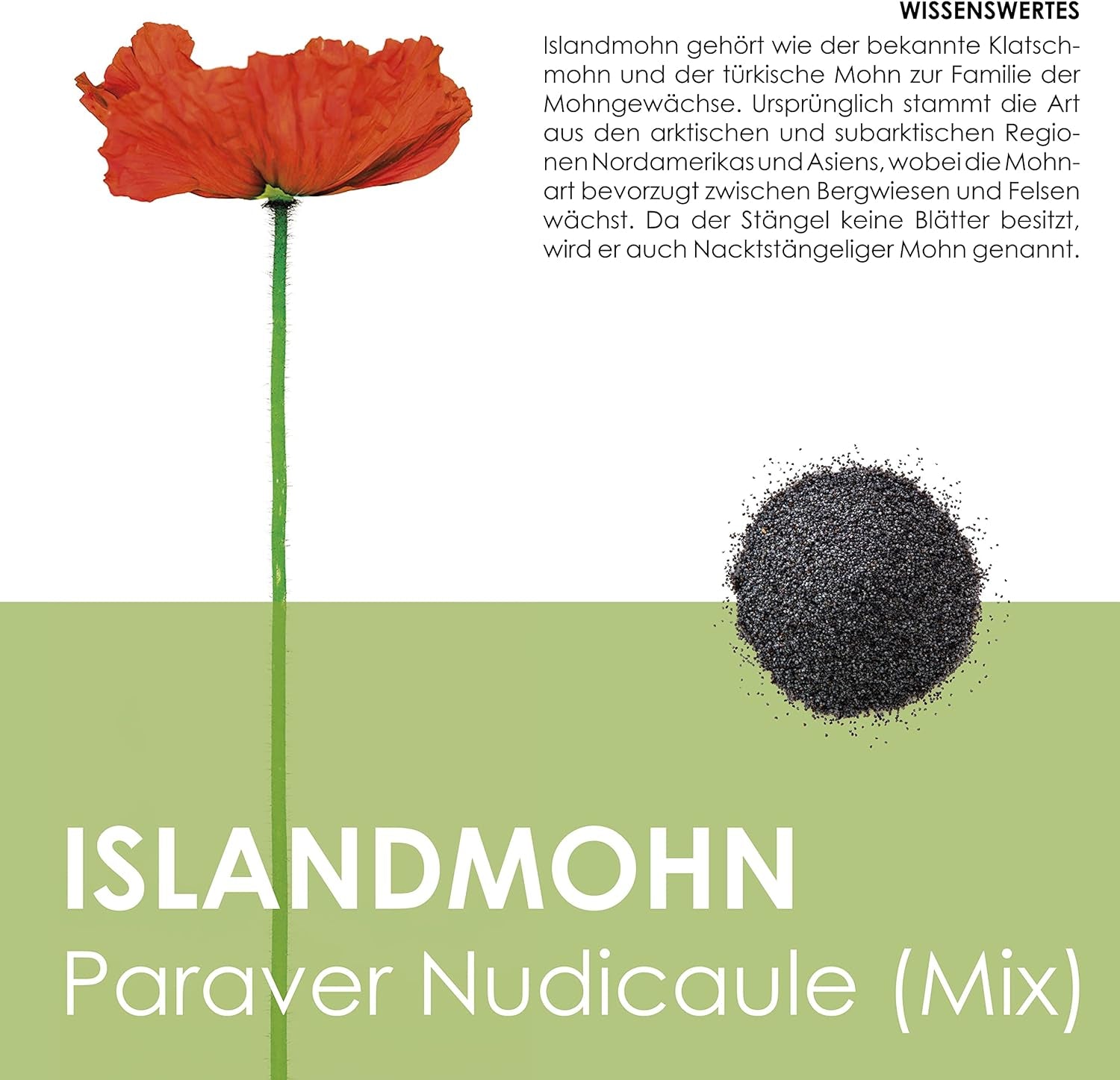 Islandzki Poppy Seed Mix (Papaver nudicaule) - Piękne kwitnące maki o długim okresie kwitnienia na kolorową łąkę kwietną (Islandia Poppy)