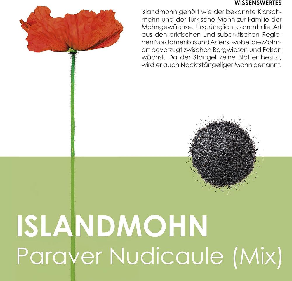 Islandzki Poppy Seed Mix (Papaver nudicaule) - Piękne kwitnące maki o długim okresie kwitnienia na kolorową łąkę kwietną (Islandia Poppy)