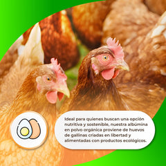 Sermand Nutrition Albumina jajeczna 100% proszek bezglutenowy, bez laktozy