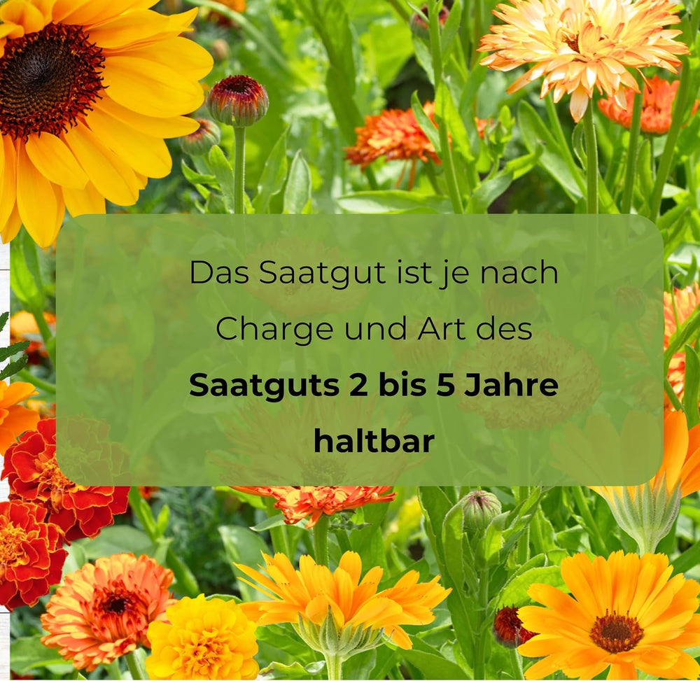 Cosmos Sensation Mix 1g nasion, Cosmos Mix Kwiaty letnie, Rośliny ogrodowe Rośliny balkonowe, Nasiona kwiatów