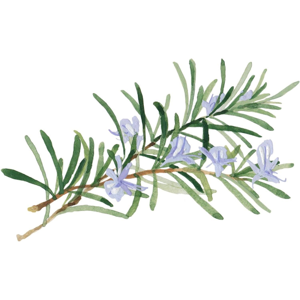 WELEDA Bio Skin, Cremă pentru îngrijirea pielii foarte uscate, 75 ml Duș și baie Naty Shop