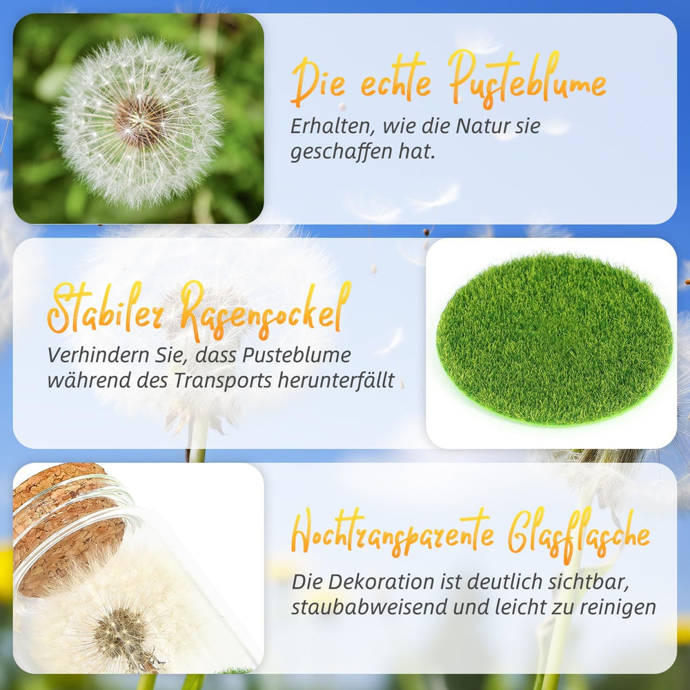 Wunscherfüller Glücksbringer, Echte Pusteblume Im Glas Mit Geschenkbox, Geburtstagsgeschenk Für Frauen, Valentinstagsgeschenk, Kleine Geschenke Für Frauen Freundin