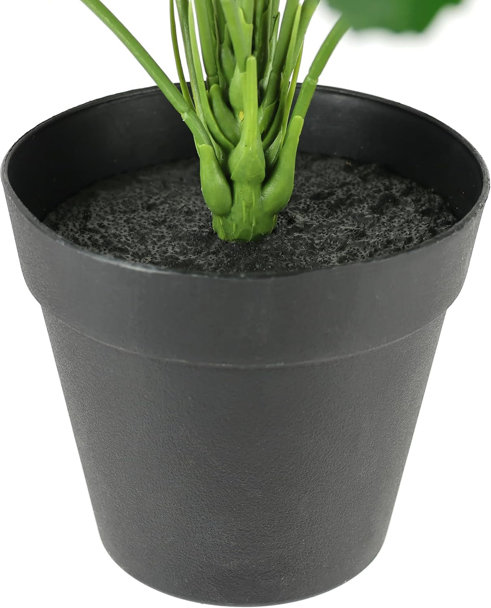Künstliche Blattpflanze Im Topf Aralie 60 Cm Monstera Seidenblumen Real Touch Grün Kunstpflanzen Pflanzen Aralienpflanze Deko Dekopflanze Grünpflanze Seidenpflanze Zimmerpflanze Kunstblume Büropflanze