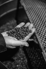 Cafea Espresso Bristot - Sublime 100% Arabica, 1000g boabe