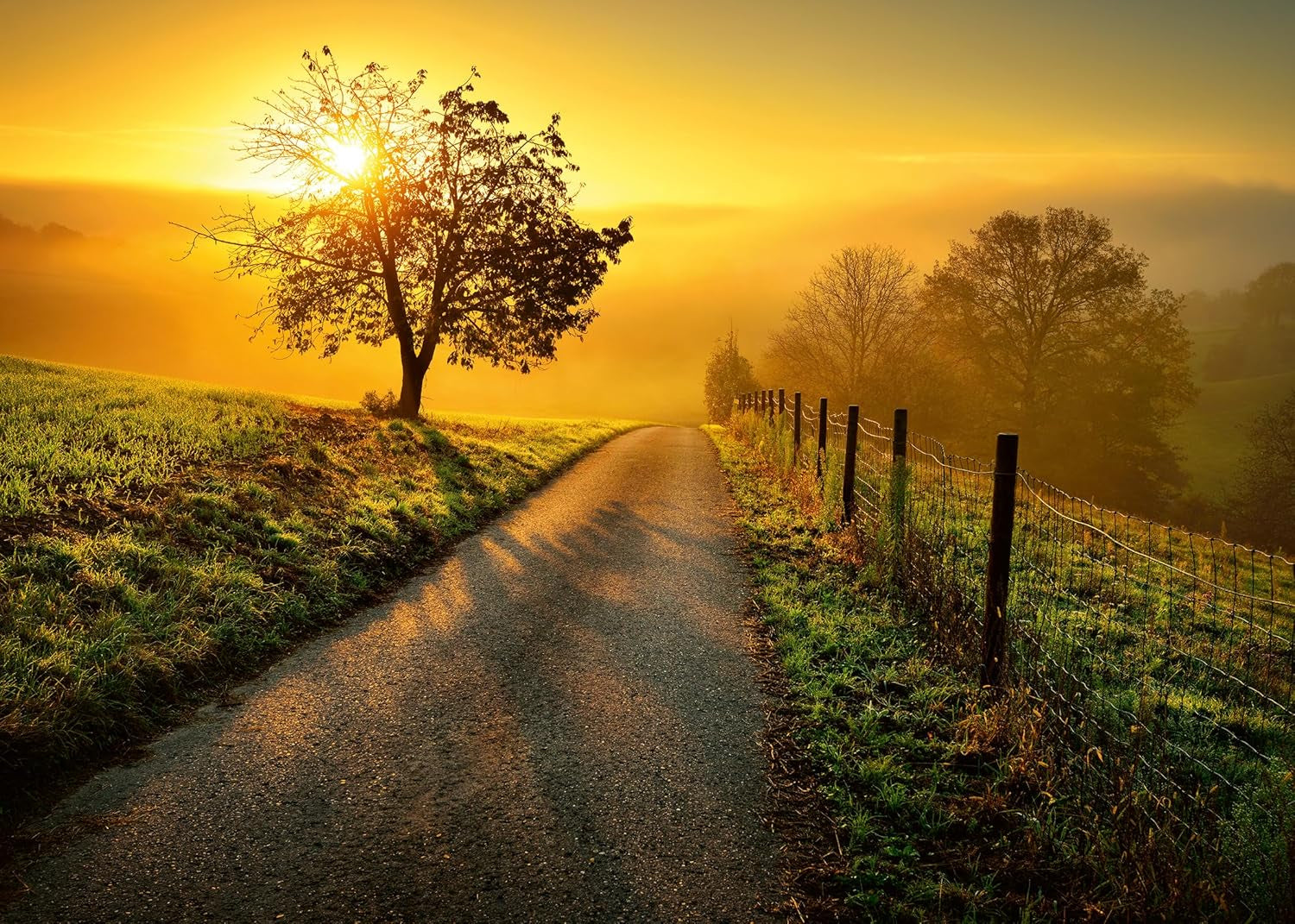 Ravensburger Puzzle 1000 piese Peisaj în soarele dimineții - Puzzle colorat pentru adulți și copii în calitate dovedită Puzzle Naty Shop Design nou