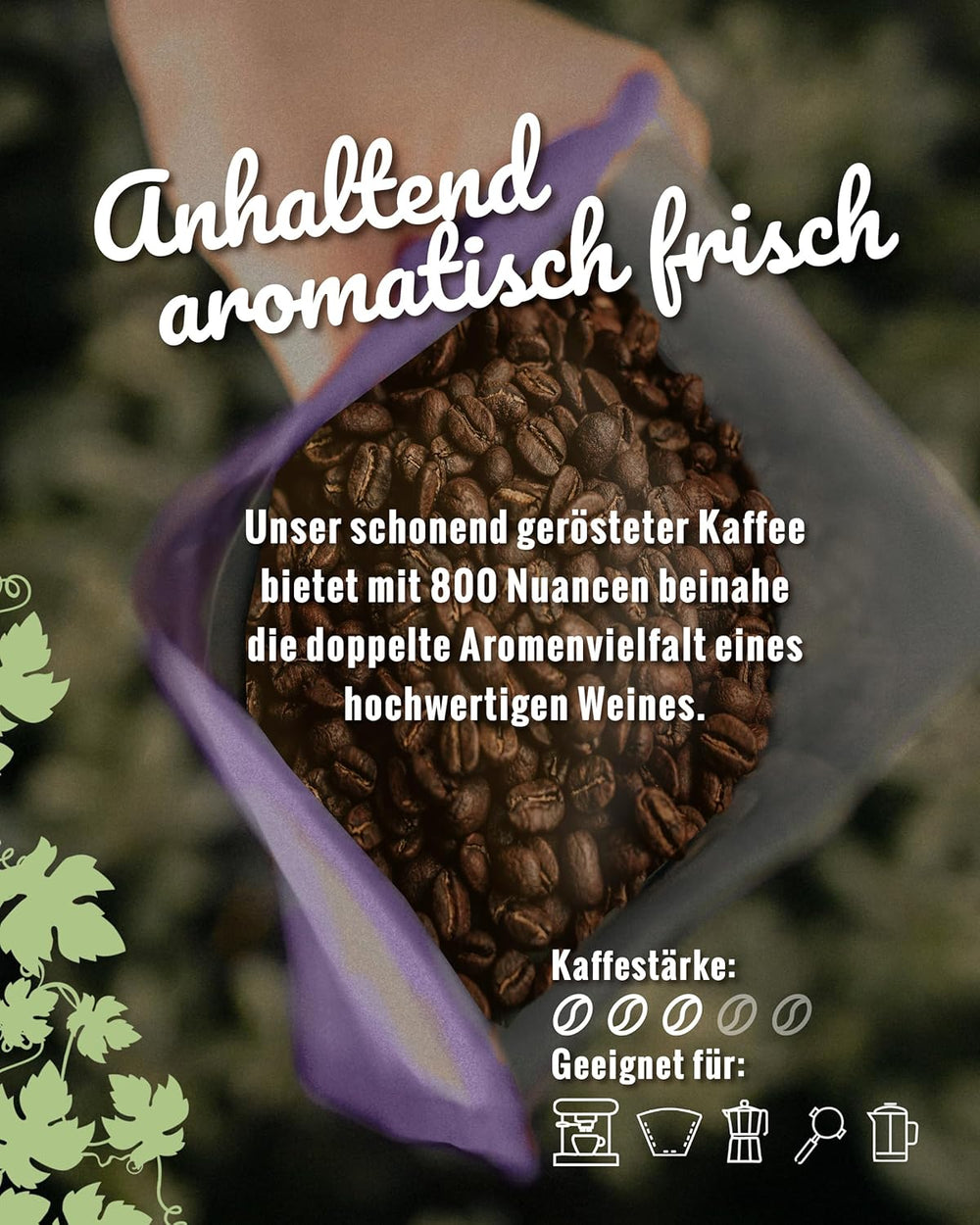 Blank Roast - BIO Winzer Kaffee 1000g - schonend mit Pfälzer Rebholz geröstet - ganze Kaffee-Bohnen aus Peru - 100% Arabica Röstung - schokoladig & nussig - säurearm