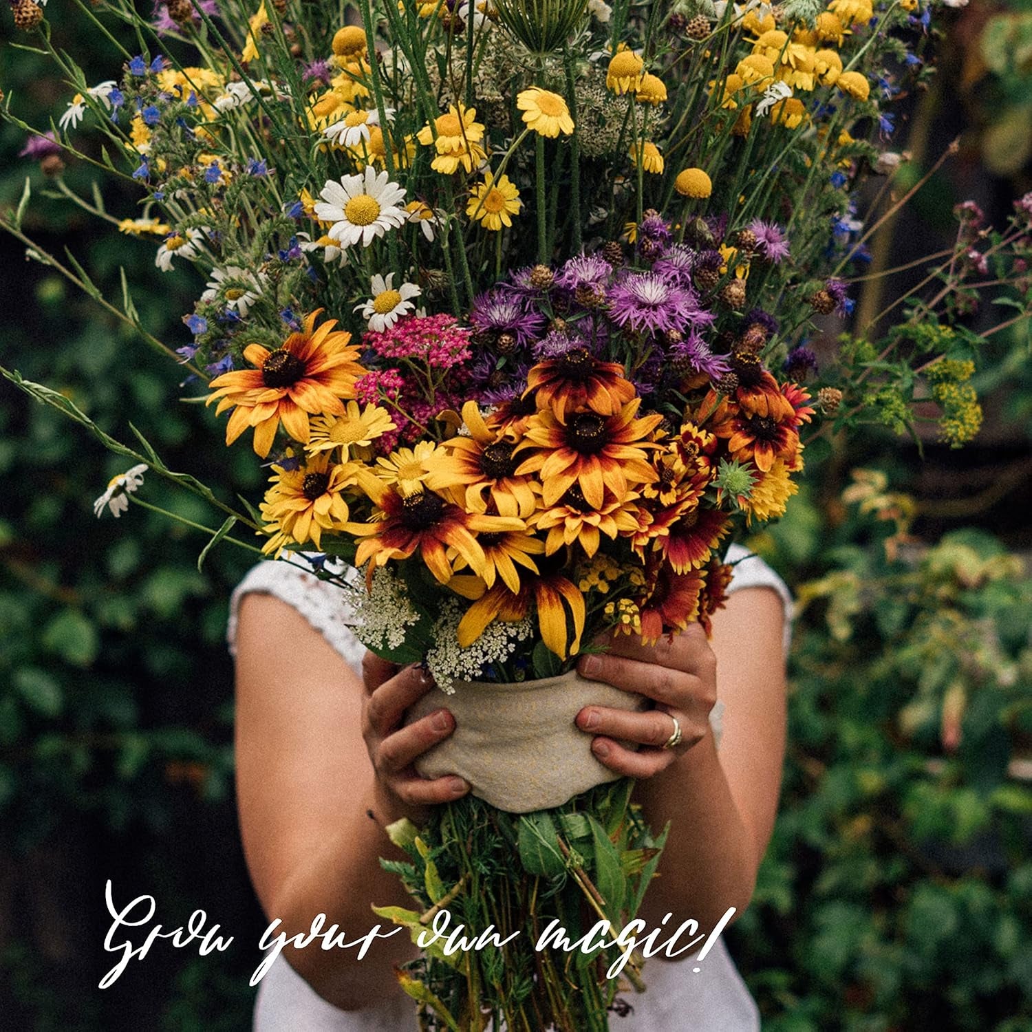 Nasze ulubione rośliny: byliny i kwiaty letnie dla miłośników kwiatów (organiczne) - zestaw upominkowy z nasionami zawierający 6 uroczych odmian zapewniających dziką eksplozję kwiatów - sprawi, że będziesz szczęśliwy!