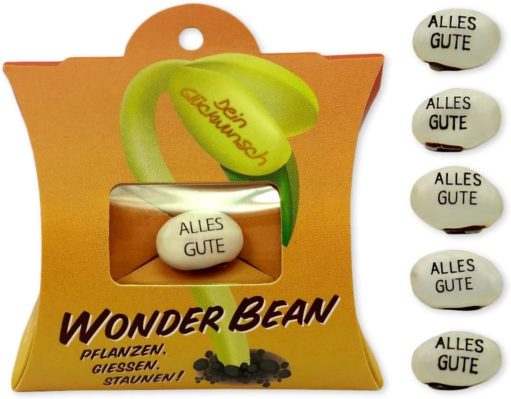 Feel Green Wonder Bean (5 Stk), Viel Glück, Bohne Mit Eingravierter Glücksbotschaft, Made in Austria, Nachhaltige Geschenkidee, Pflanzen-Gießen-Staunen