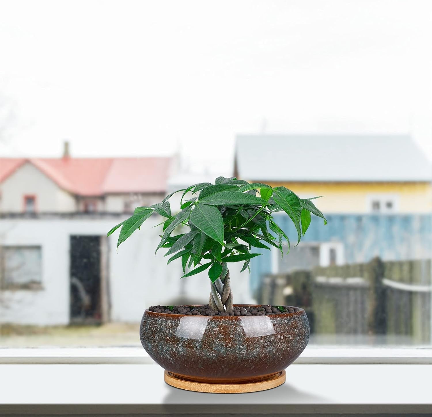 Ghiveci ceramic pentru bonsai, glazurat, puțin adânc, pentru plante suculente, cu orificiu de drenaj și farfurie din bambus pentru plante de apartament, 20,3 cm, maro
