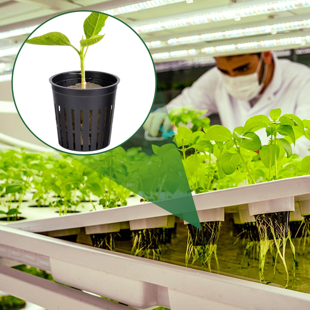 76 Stück Hydrokultur Pflanzen Net Kit -20 Stück 2inch(5cm)-Topfbecher mit geschlitztem Netz, 36Stück Steinwolle Anzucht, 20Stück Artikel Selbstbewässernde Dochtschnur aus Baumwolle für Hydrokultur