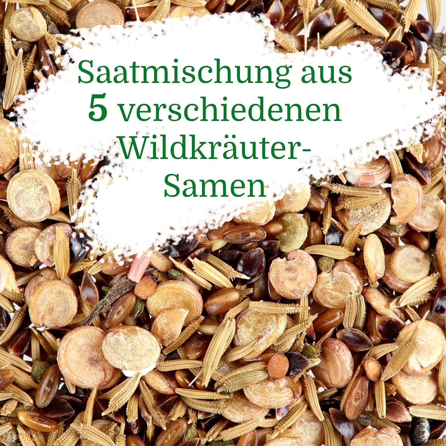 Wildkräuter Samen: Bunte Premium Kräuter Samen Mischung mit Löwenzahn Samen, Sauerampfer, Spitzwegerich uvm – Unkraut Samen Mix für Garten, Balkon – Kräuter Pflanzen Saatgut alte Sorten von OwnGrown