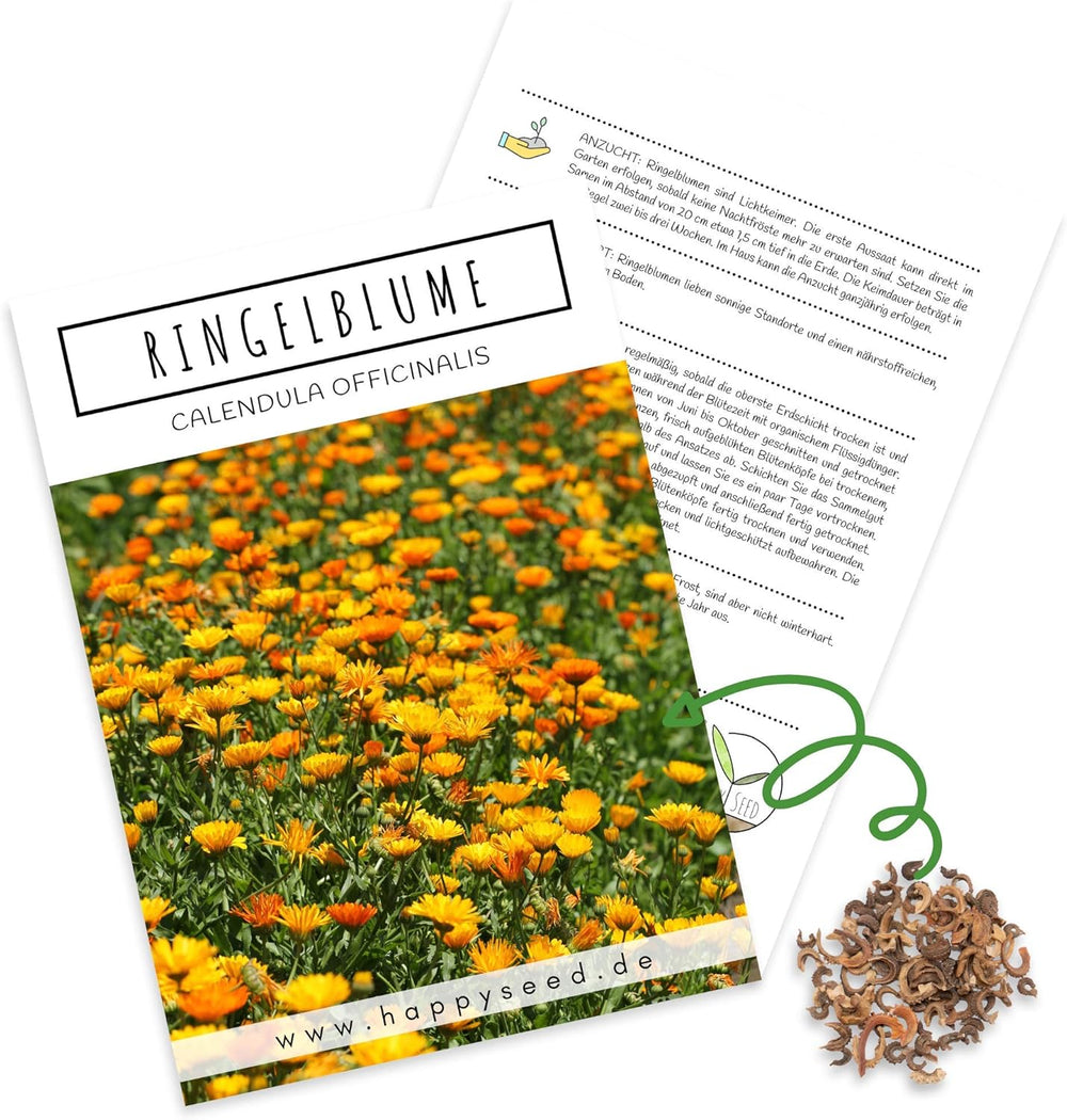 Nasiona nagietka lekarskiego (Calendula officinalis) - wszechstronna roślina lecznicza o jadalnych kwiatach, idealna na kolorową łąkę kwietną (Abendrot)