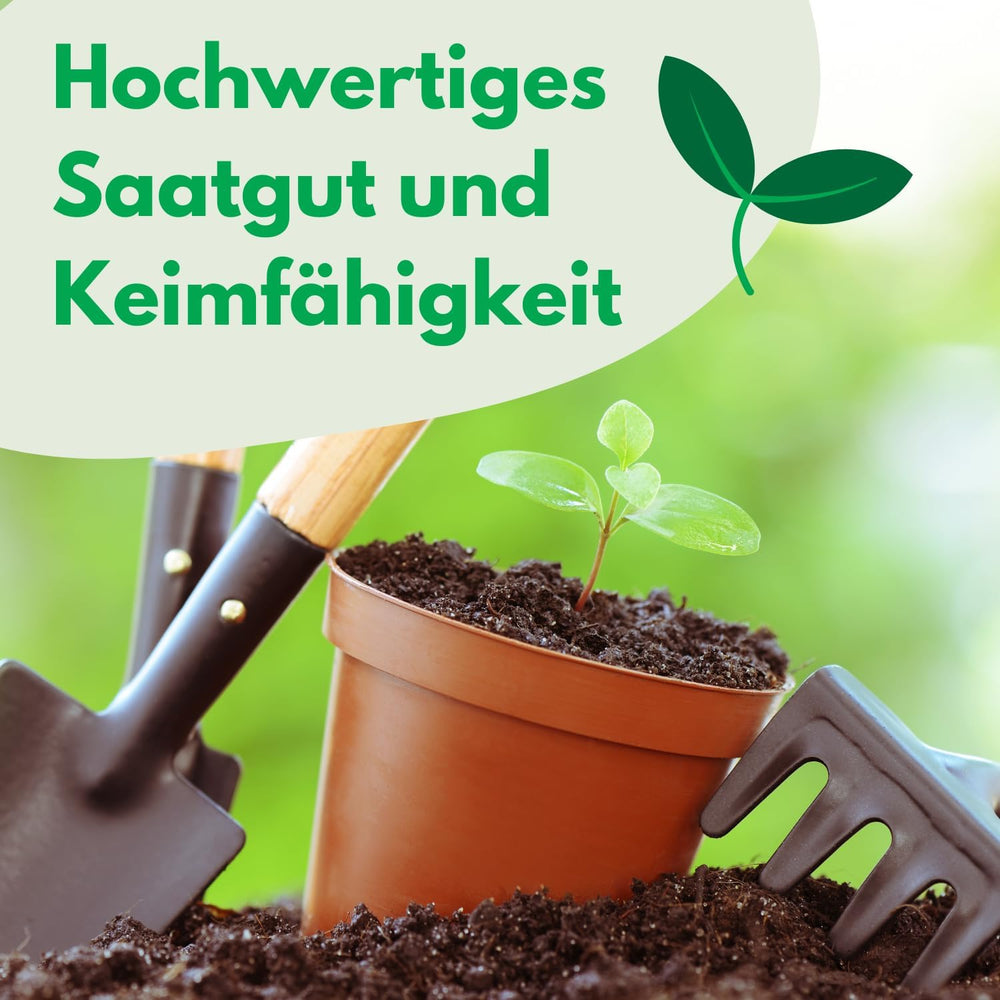 Cosmos Sensation Mix 1g nasion, Cosmos Mix Kwiaty letnie, Rośliny ogrodowe Rośliny balkonowe, Nasiona kwiatów