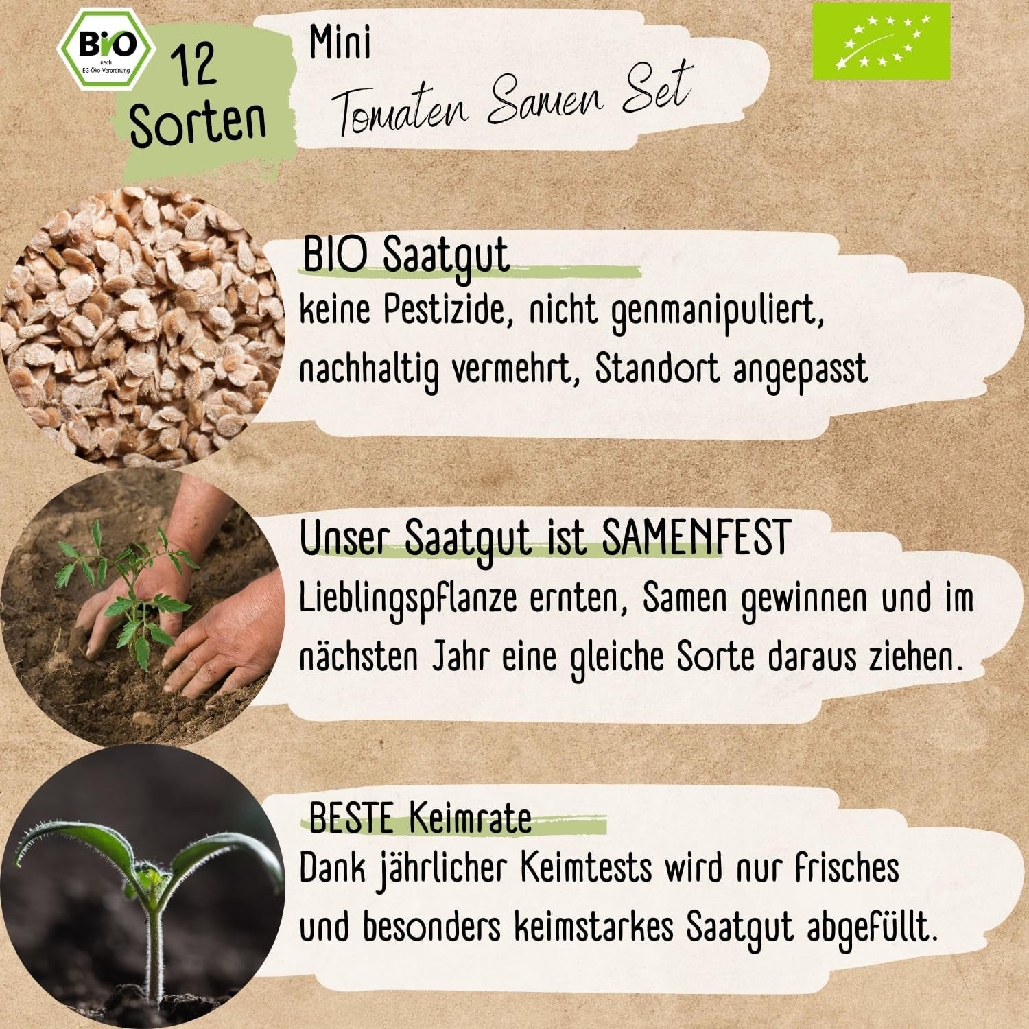 Organiczny mini zestaw nasion pomidorów: 12 odmian wolno uprawianych pomidorów | Rzadki i rodzinny koktajl, nasiona pomidorów z wiśniami i befsztykiem | Nasiona warzyw na balkon, podwyższoną grządkę, do ogrodu i na prezent | Rośliny miłosne