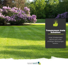 ARENA Poa Supina Superior Rasensamen Mit Keimbeschleuniger 3Kg I Premium Schattenrasen I Tiefschnittverträglich Und Schnelkeimend