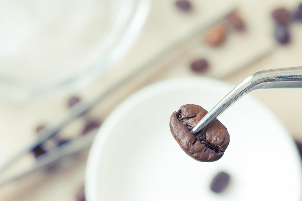 NIK CAFE’ – Amestec Classico – boabe de cafea prăjite. Excelența sa, cea robustă. 100% robustă