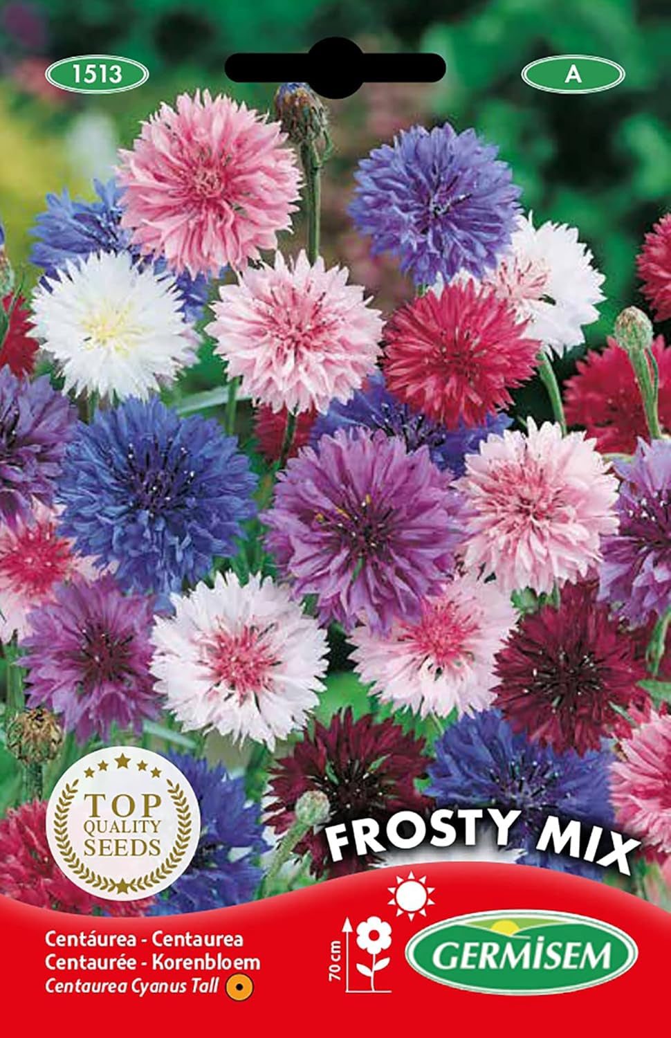 Flower-de-Curțum ​​​​FROSTY MIX EC1513 wielokolorowy