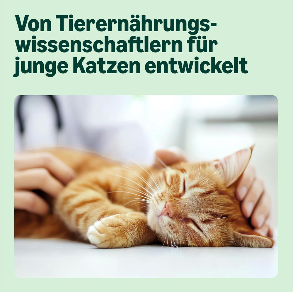 Hrană umedă pentru pisici tinere de la Amazon, selecție mixtă în jeleu, 1,2 kg (12 pliculețe a câte 100 g)