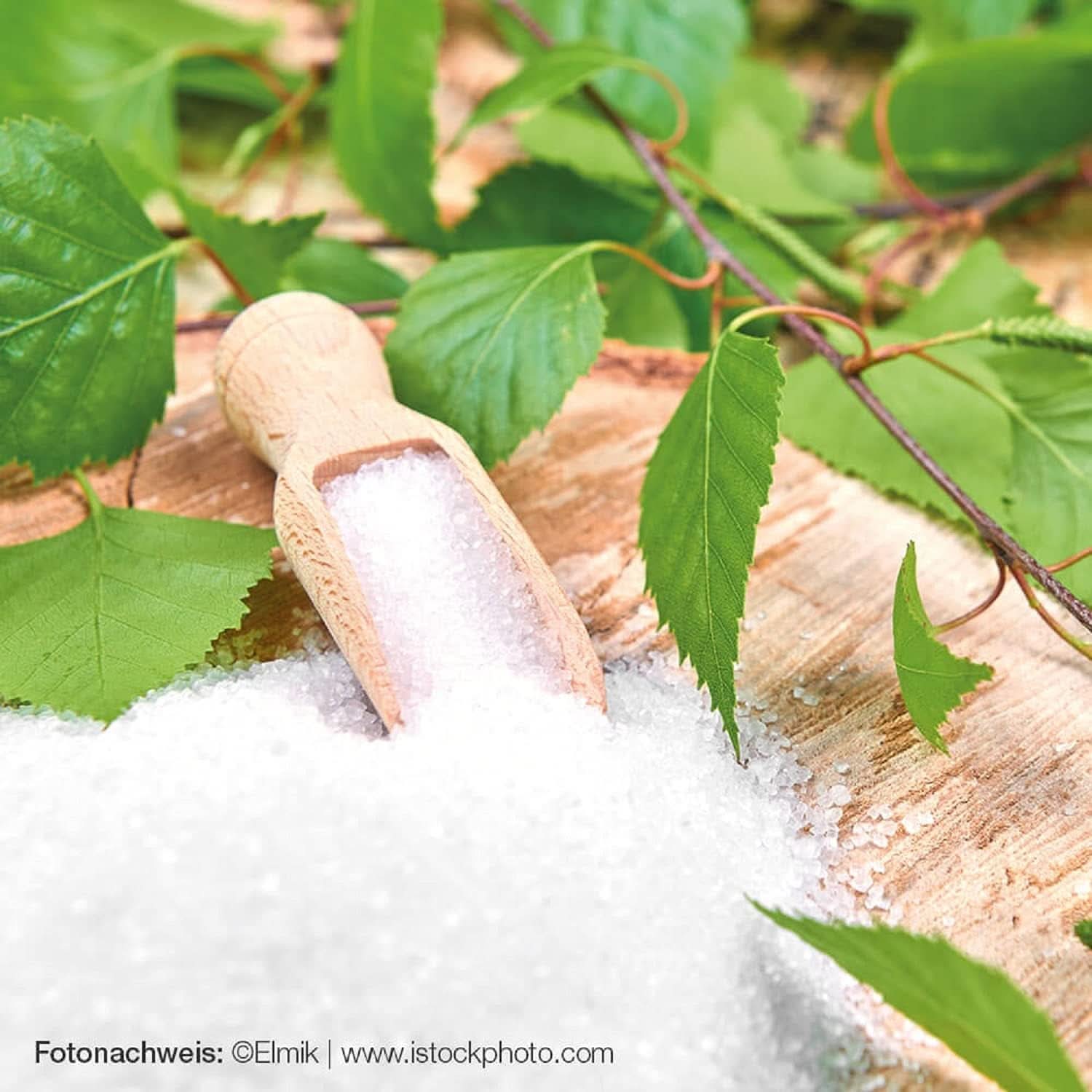 Raab Vitalfood Premium, Cukier brzozowy ze słodzikiem ksylitolowym, Wegański, 1:1 Alternatywa dla cukru, 300 gramów Słodziki Naty Shop