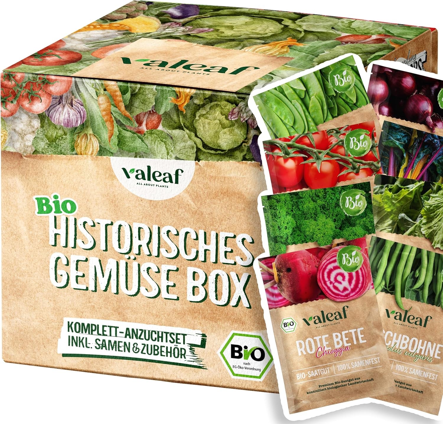 BIO Historisches Gemüse Samen Set I Seltene U. Alte Gemüsesorten Samen Im Gemüsesamen Set I Gemüse Anzuchtset I Samenfestes Saatgut I Samen Gemüse Als Gemüse Samen Set I Tolles Garten Geschenk