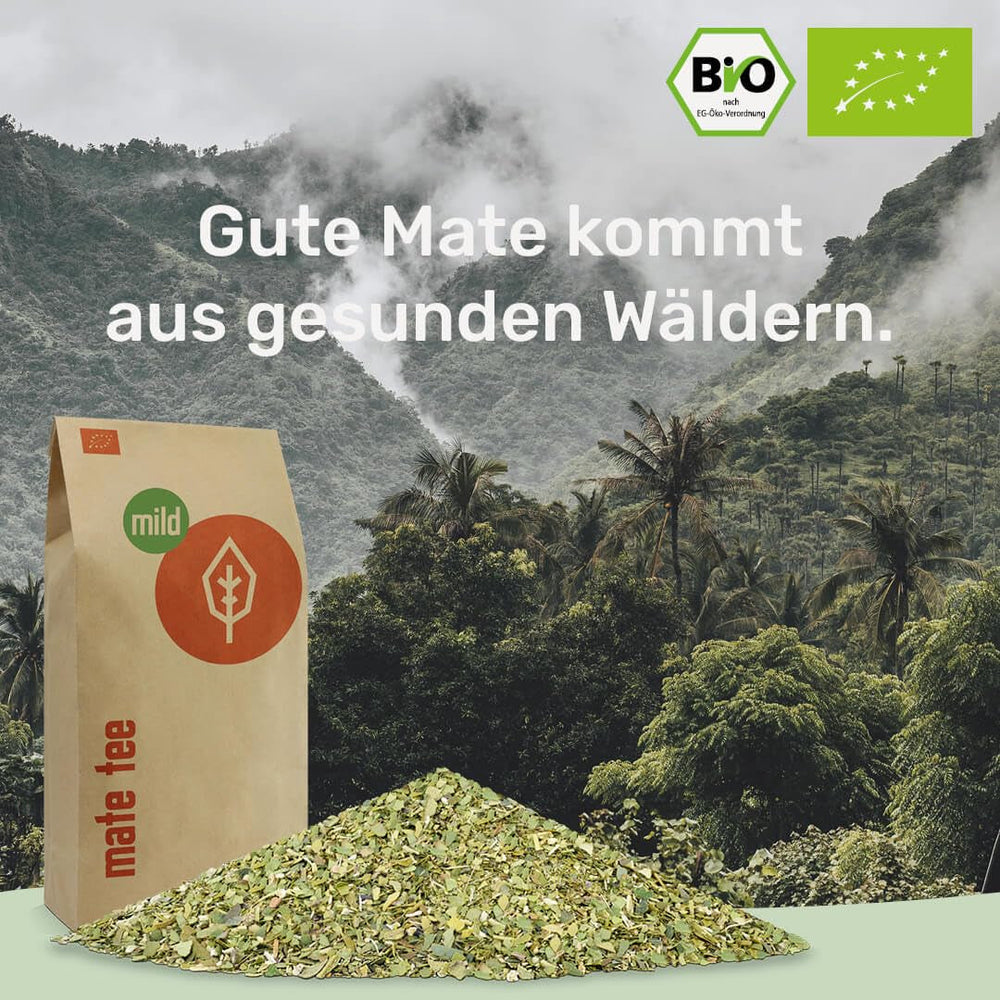 Ceai Mate Bio Mild 1 kg - Pur, proaspăt și verde - Uscat la aer - Yerba Mate organic - Controlat, certificat și ambalat în Germania (1000 g)