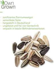 Nasiona słonecznika dyskowca żółtego (Helianthus annuus): Nasiona słonecznika premium, Nasiona słonecznika do uprawy około 20 roślin słonecznika - Nasiona kwiatów przyjazne dla owadów od OwnGrown