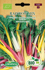 Mangold RAINBOW MIX, ECBIO7026