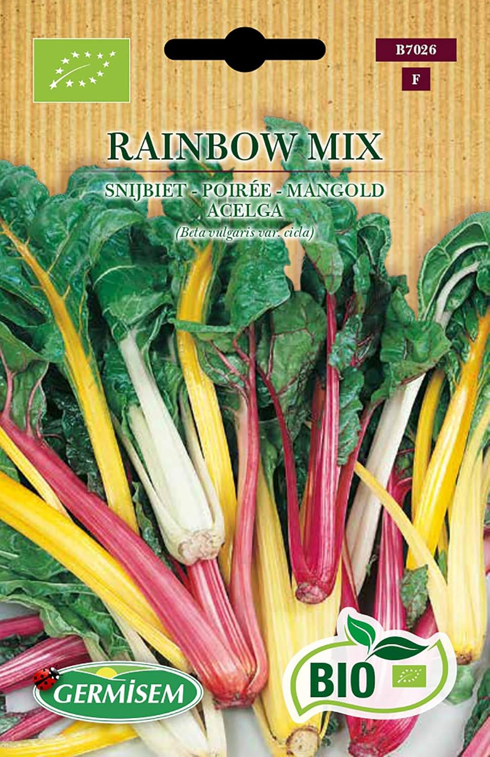 Mangold RAINBOW MIX & Spinat WINTER GIANT