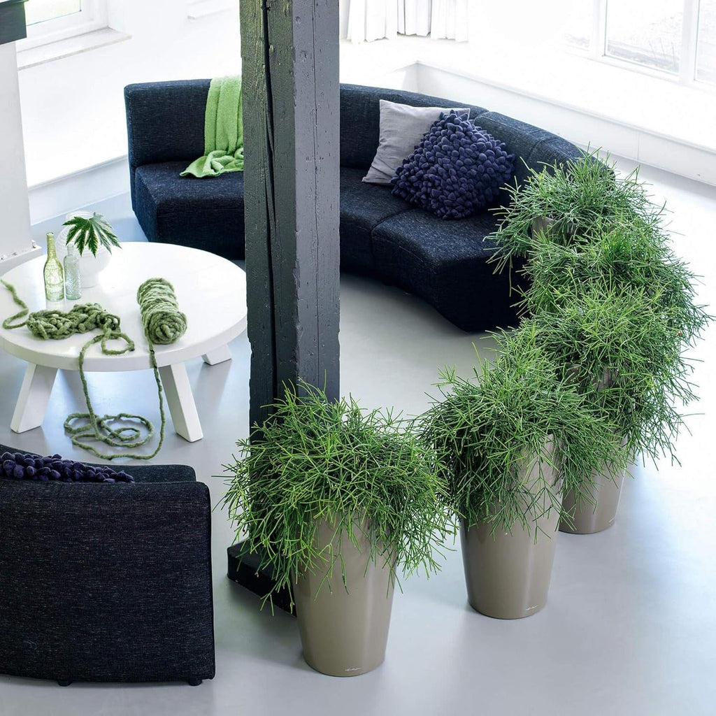 LECHUZA RONDO Premium 40 alb lucios 15740