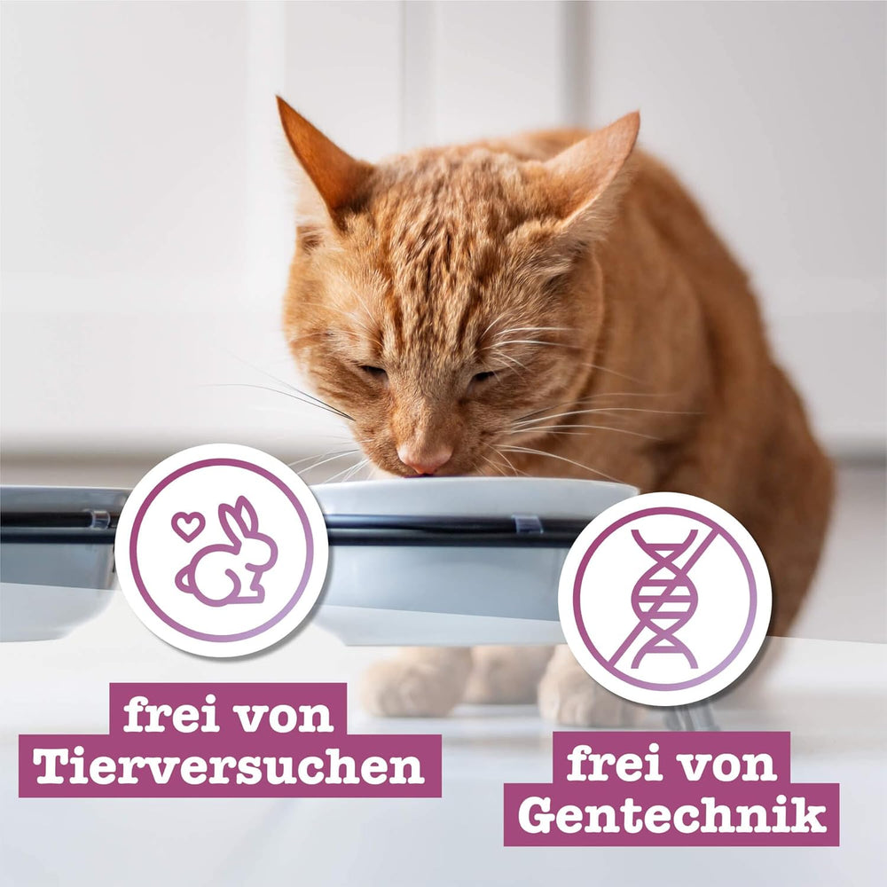 Catz Finefood Classic Collection Mixed Pack Hrană umedă pentru pisici - hrană umedă gourmet pentru pisica ta, fără cereale și fără zahăr, cu un conținut ridicat de carne, 24 de pliculețe x 85 g