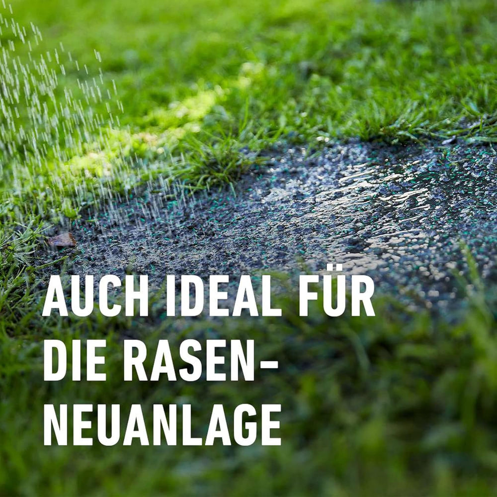 Compo SAAT® Trocken-Rasen 2Kg Für 80M²