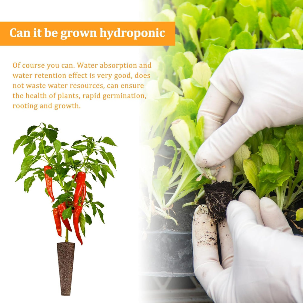 50 gąbek do uprawy hydroponicznej, gąbki do sadzonek hydroponicznych, gąbki do uprawy korzeni, odpowiednie do różnych rodzajów pąków, takich jak pomidor, truskawka, mięta