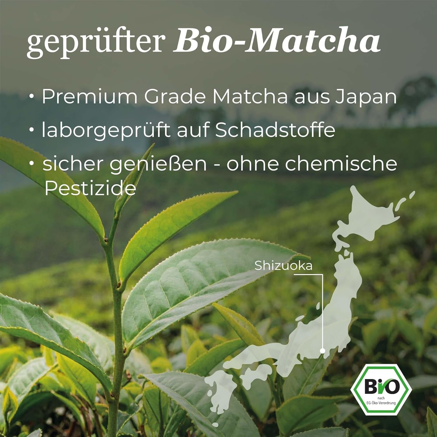 Bio Daily Green Matcha+, amestec de matcha cu spirulină, chlorella, iarbă de grâu, iarbă de orz și 60% matcha premium organic din Japonia, 80 g