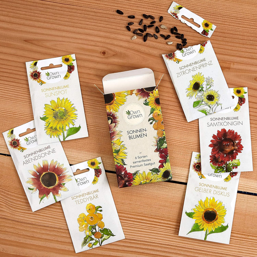 Nasiona słonecznika dyskowca żółtego (Helianthus annuus): Nasiona słonecznika premium, Nasiona słonecznika do uprawy około 20 roślin słonecznika - Nasiona kwiatów przyjazne dla owadów od OwnGrown