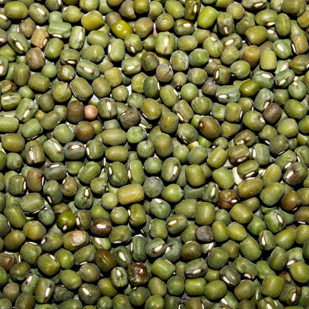 AFROASE - Fasola szparagowa Mung - 1 x 1 kg (opakowanie 2 szt.)