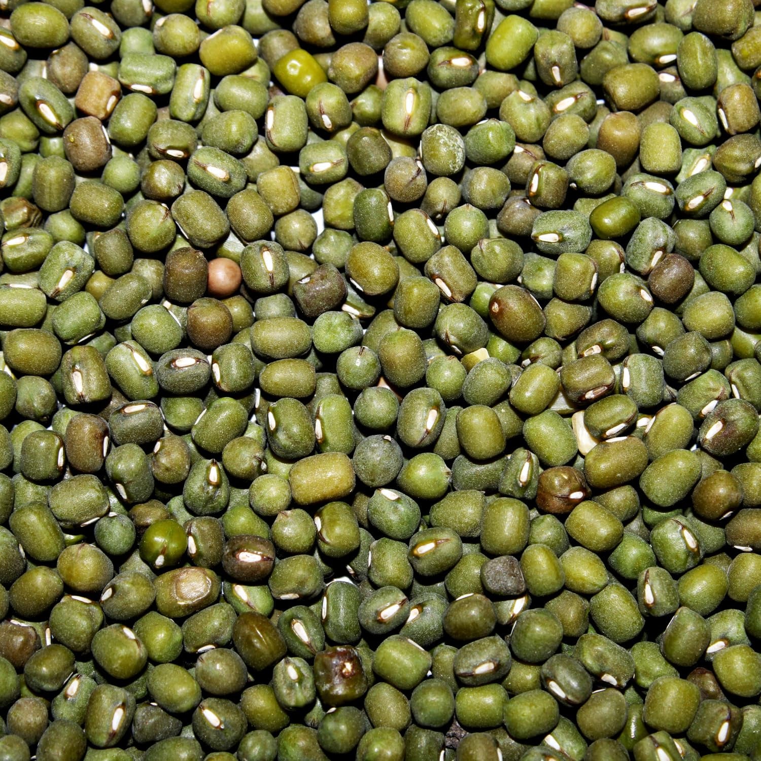 AFROASE - Fasola szparagowa Mung - 1 x 1 kg