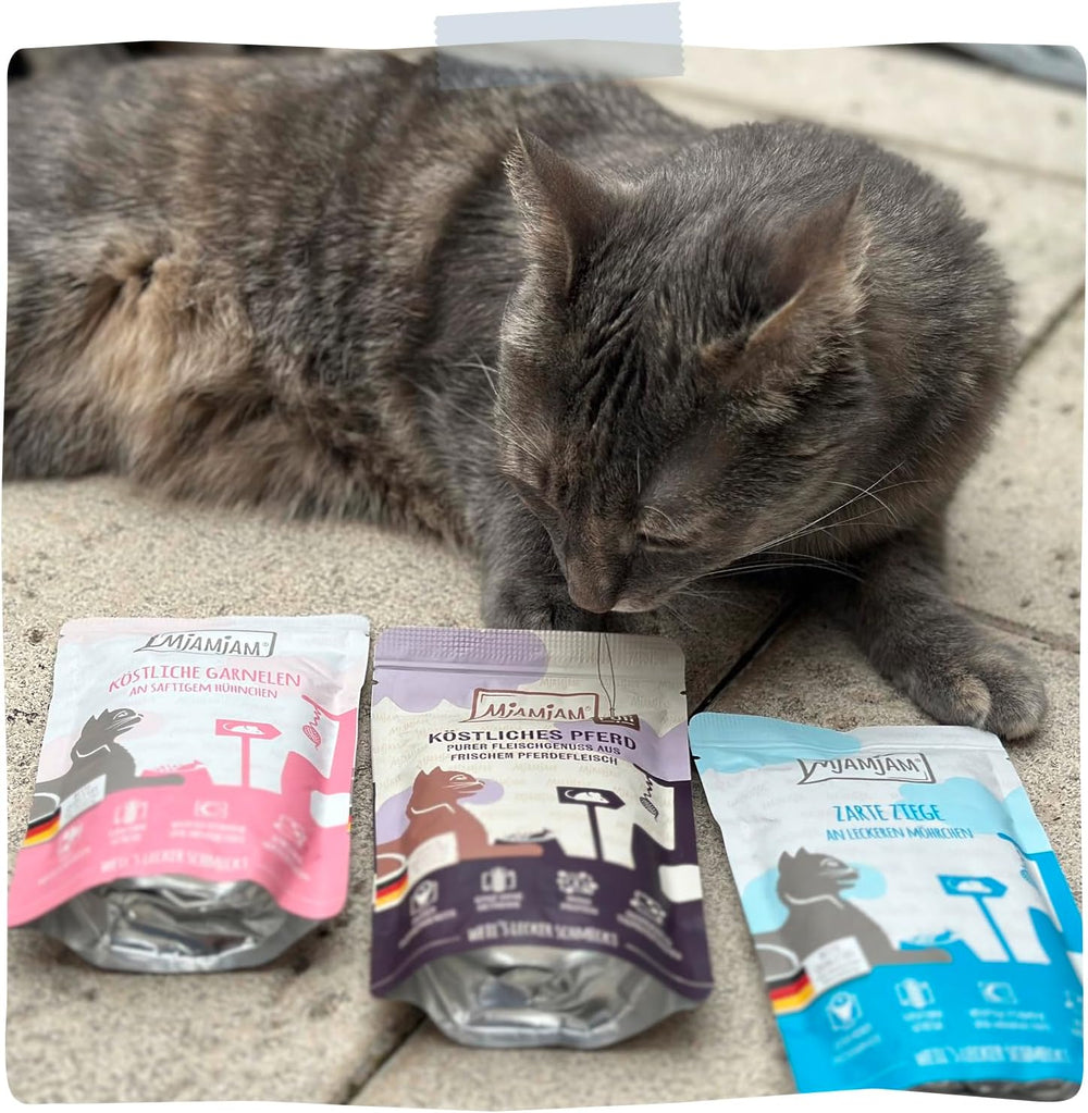 MjAMjAM - Hrană umedă premium pentru pisici - mese delicioase Mix Pack III pentru pisica ta, pachet de 6 (6 x 200 g), fără cereale cu carne suplimentară