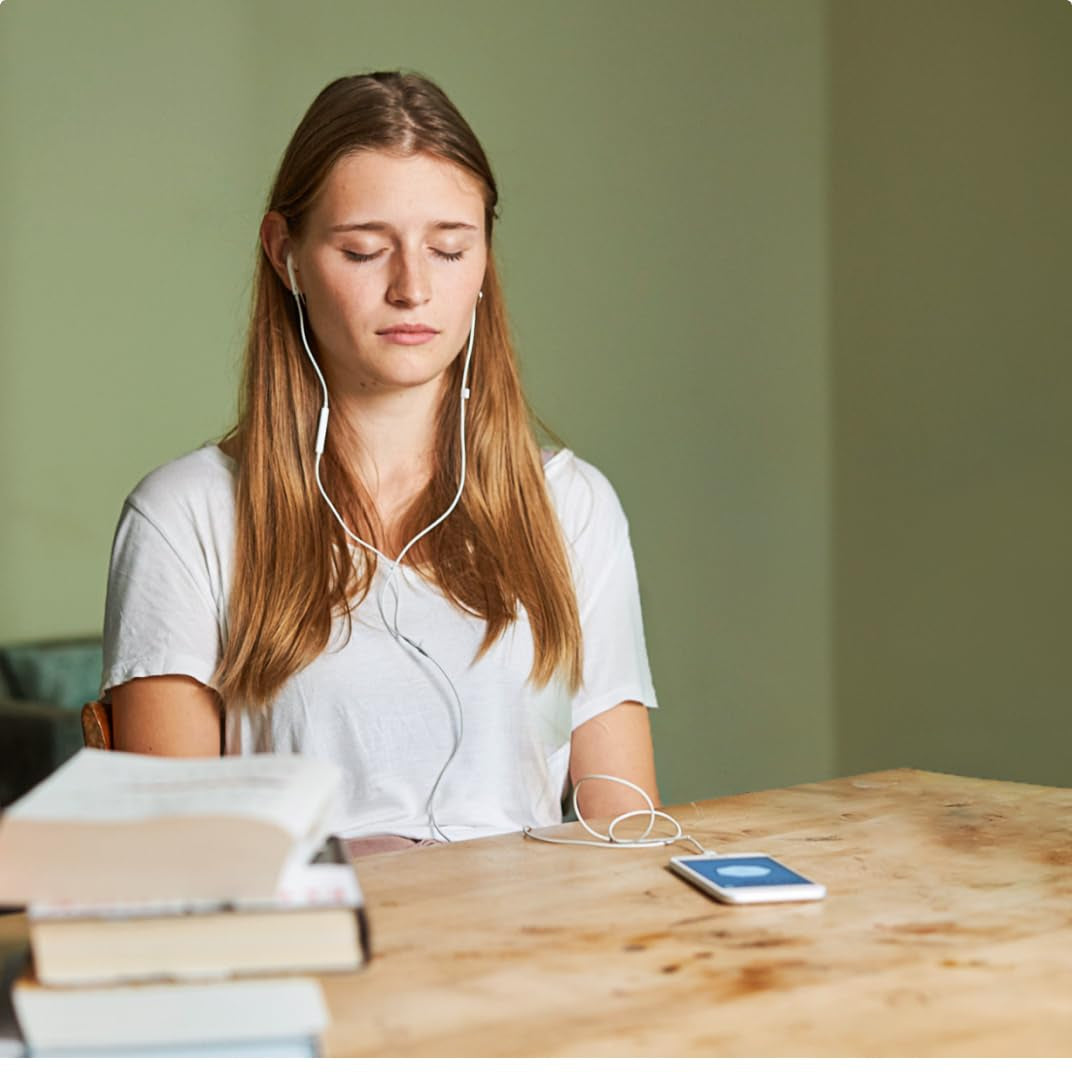 Meßmer Wohlfühltee Mixbox | 20 pliculețe de ceai | 5X Energie | 5X Siguranță | 5X Relaxare | 5X Somn bun | Un mix de ceaiuri din plante din gama Meßmer Wohlfühl