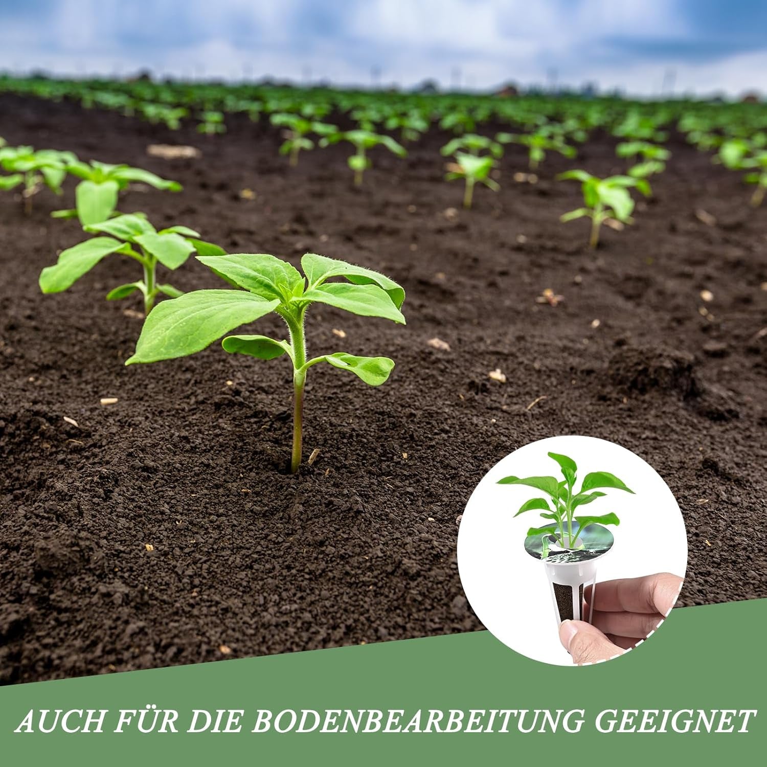 125 gąbek do uprawy, 50 wymiennych gąbek do uprawy, akcesoria do systemu startowego hydroponicznego z 50 etykietami, 12 nasadek izolacyjnych, 12 koszy na rośliny, 1 pęseta