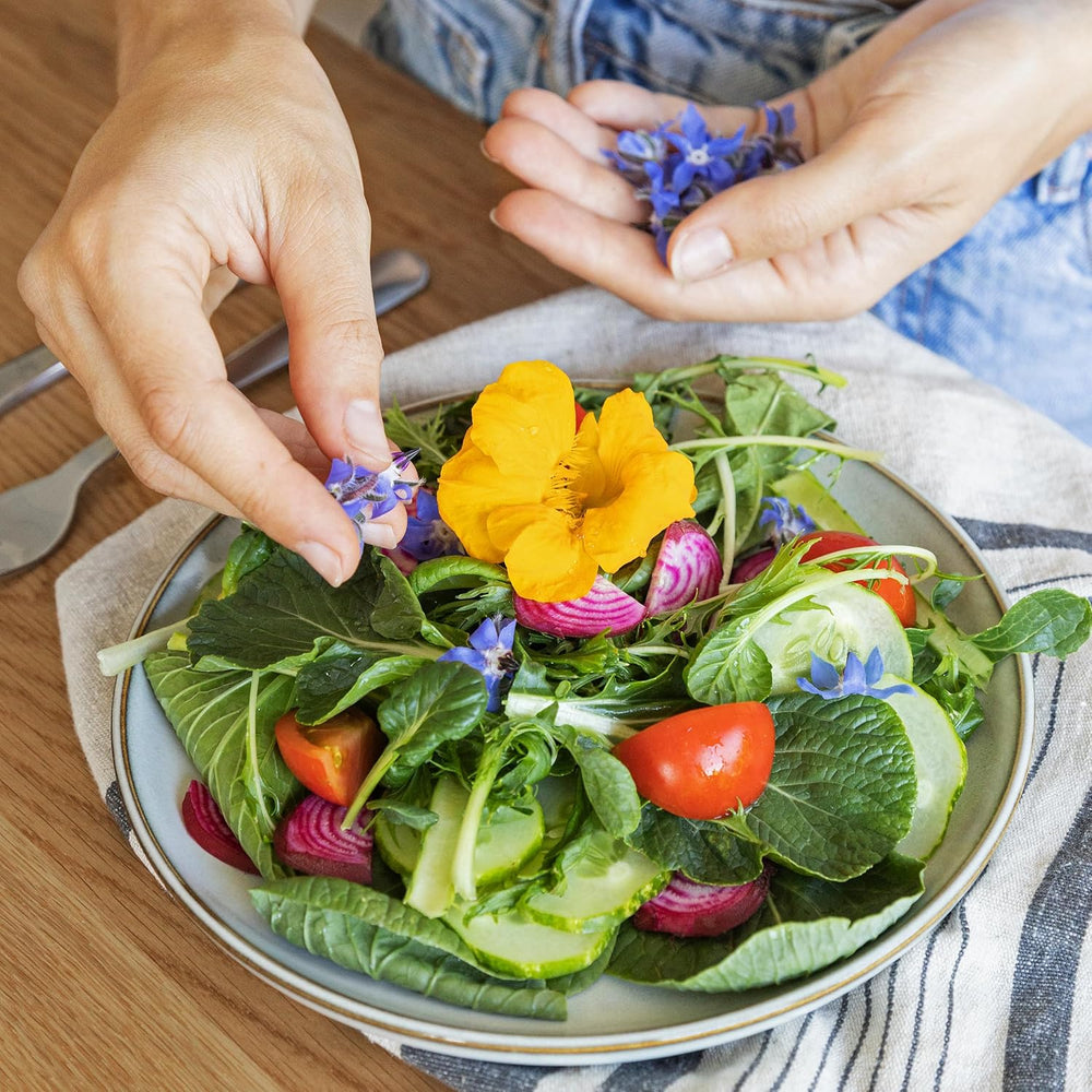 Nasiona sałaty: Zestaw 8 odmian nasion sałaty do ogrodu i na balkon - nasiona sałaty, liść gorczycy, roszponka (twarda), radicchio, nasiona endywii, cykoria - nasiona warzyw sałatkowych z OwnGrown
