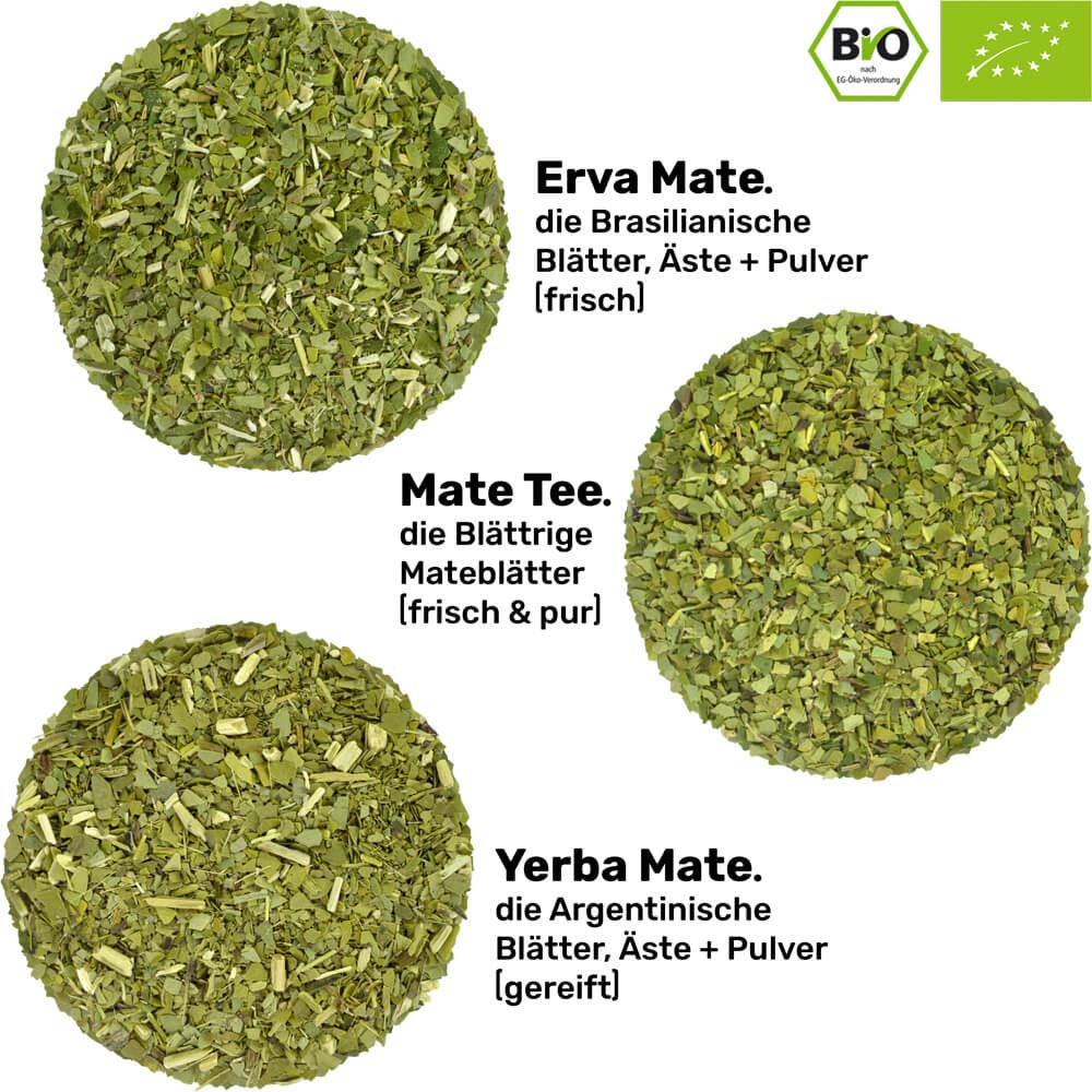 Set de ceai Mate Bio ● 3 sortimente de mate + cană Mate din oțel inoxidabil cu pereți dubli + Bombilla + instrucțiuni de preparare (negru)