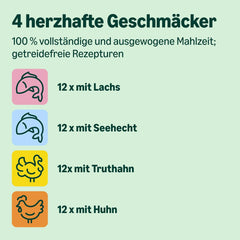 Hrană umedă pentru pisici de la Amazon, fără cereale, pentru pisici adulte, selecție mixtă în jeleu, 4,8 kg (48 de pachete a câte 100 g fiecare)
