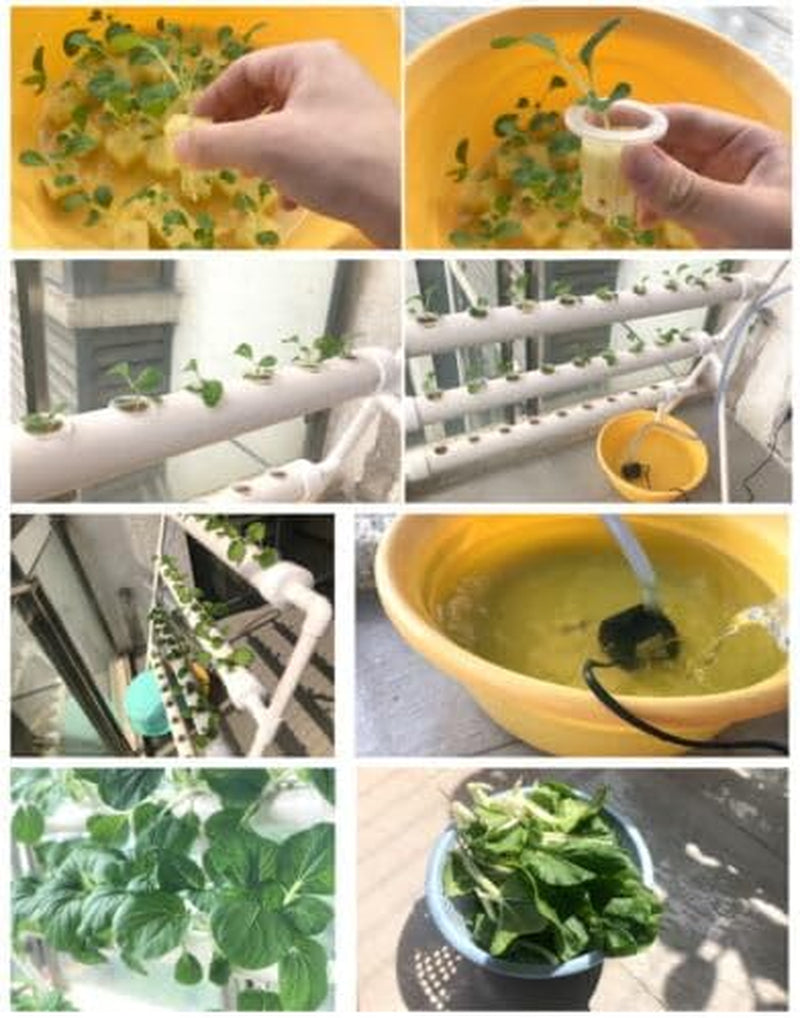 Pflanzen Pflanze Zestaw do uprawy systemu hydroponicznego 90 stanowisk dla roślin Drei Layer Satz GemüSe Tool Garten Systeme Roślina Warzywo Hydrokultur Hydroponische Ogród Hydroponik Anbausystem PflanzpläTzen 3Schicht